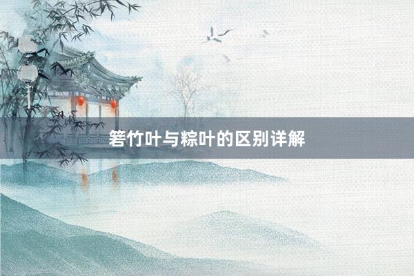 箬竹叶与粽叶的区别详解