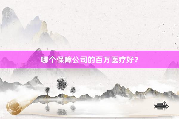 哪个保障公司的百万医疗好？