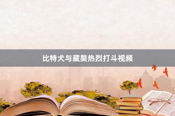 比特犬与藏獒热烈打斗视频