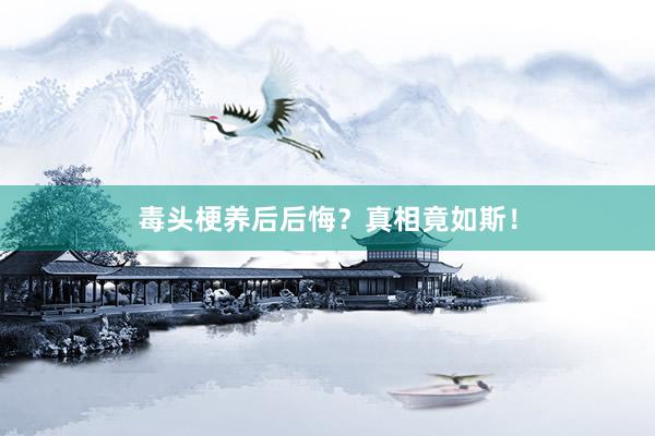 毒头梗养后后悔？真相竟如斯！