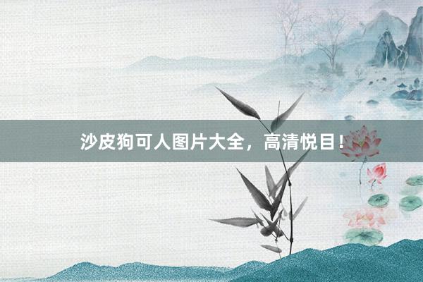 沙皮狗可人图片大全,高清悦目!