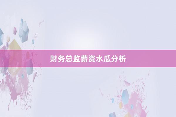 财务总监薪资水瓜分析