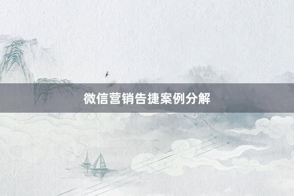微信营销告捷案例分解